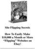 Thumbnail Site Flipping Secrets Thumbnail Site Flipping Secrets