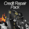 Thumbnail Credit Card Debt - Bad Credit PLR report