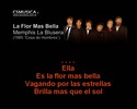 Thumbnail Memphis la Blusera - La Flor mas bella - karaoke