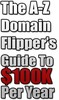 Thumbnail The Domain Flipper Guide