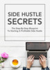 Thumbnail Side Hustle Secrets