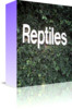 Thumbnail ReptilePictures.zip
