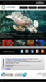 Thumbnail FanPage Professional & Premiun Template - Neutral First