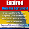 Thumbnail Expired Domain Fortunes-Expired Domains With High Traffic Thumbnail Expired Domain Fortunes-Expired Domains With High Traffic