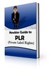 Thumbnail Newbies Guide to PLR (PLR)