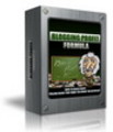 Thumbnail NEW 2010 Blogging Profit Formula (MRR)