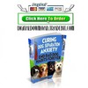 Thumbnail Curing Dog Separation Anxiety