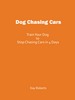 Thumbnail Train Your Dog to Stop Chasing Cars in 4 Days