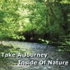 Thumbnail Take A Journey Inside Of Nature