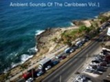 Thumbnail Ambient Sounds Of The Caribbean - Vol. 1, Track 8 Thumbnail Ambient Sounds Of The Caribbean - Vol. 1, Track 8
