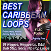 Thumbnail BEST CARIBBEAN LOOPS Flac Format.zip