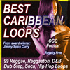 Thumbnail BEST CARIBBEAN LOOPS OGG.zip