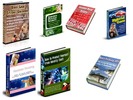 Thumbnail 7 PLR Niches - Webmaster Package