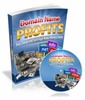 Thumbnail Domain Name Profits