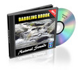 Thumbnail Babbling Brook - Natural Sounds with Mrr
