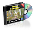 Thumbnail Autumn In The Forest  - Natural Sounds with Mrr 