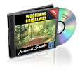 Thumbnail Woodland Bridalway - Natural Sounds with Mrr 