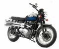 Thumbnail TRIUMPH SCRAMBLER 2006+ BIKE WORKSHOP REPAIR SERVICE MANUAL