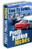 Thumbnail How To Setup Profit Pulling Niches