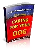 Thumbnail Caring For Your Dog