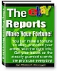 Thumbnail eBay Reports Thumbnail eBay Reports