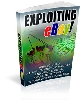 Thumbnail Exploiting Ebay