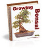 Thumbnail Grow Bonsai