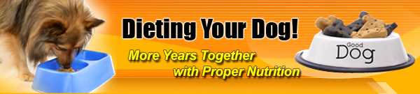 Thumbnail Dieting your Dog More Years Together with Proper Nutrition