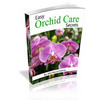 Thumbnail Easy Orchid Care Secrets