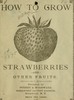 Thumbnail Growing strawberries and other fruits 