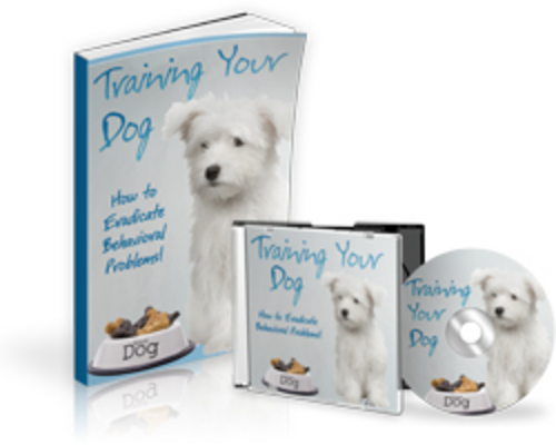 Pay for Training Your Dog