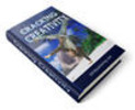 Thumbnail Cracking Creativity - with FULL PLR + 2 Mystery BONUSES!