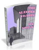 Thumbnail The Sleeper Awakes - illustrated