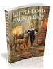 Thumbnail Little Lord Fauntleroy - illustrated