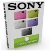 Thumbnail Sony Cyber Shot DSC-T99 T99C T99D T99DC Series Service Manual & Repair Guide Download