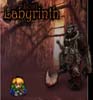 Thumbnail Gamix Lost Labyrinth (NTSC) ISO