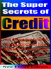 Thumbnail How To Establish, Manage, Repair and Erase Bad Credit!