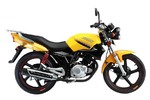 Thumbnail CFMOTO CF150-A 150 LEADER SERVICE REPAIR SHOP MANUAL Thumbnail CFMOTO CF150-A 150 LEADER SERVICE REPAIR SHOP MANUAL