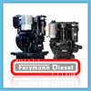 Thumbnail FARYMANN DIESEL K A L R S WORKSHOP SERVICE REPAIR MANUAL