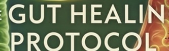 Thumbnail The Gut Healing Protocol: A 4-Week Plan to Soothe Your Gut, 