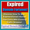 Thumbnail Expired Domain Fortunes