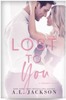 Thumbnail Lost to You (The Regret Series Book 1)