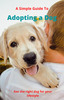 Thumbnail A Simple Guide To Adopting A Dog