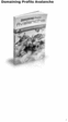 Thumbnail Domain Profits Avalanche