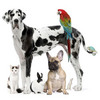 Thumbnail 1380 Pets Articles - High Quality Articles - PLR Thumbnail 1380 Pets Articles - High Quality Articles - PLR