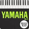 Thumbnail The best mexican, Yamaha Styles Vol. 11
