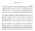 Thumbnail Franck Panis Angelicus, for string quartet, CF201