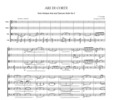 Thumbnail Respighi Ari di Corte from Ancient Airs and Dances Suite No.3, CR003 Thumbnail Respighi Ari di Corte from Ancient Airs and Dances Suite No.3, CR003