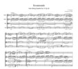 Thumbnail Schubert Rosamunde from String Quartet No.13 Op.29, CS005