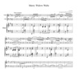 Thumbnail Lehar Merry Widow Waltz, for piano trio, PL001